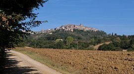 WEB_CHIUSDINO_OW8A1708