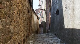 WEB_CHIUSDINO_OW8A1775