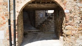 WEB_FRASSINI_OW8A1750