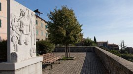 WEB_CICIANO_OW8A1651