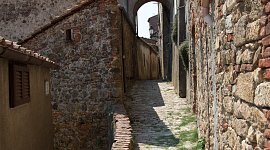 WEB_CHIUSDINO_OW8A3695