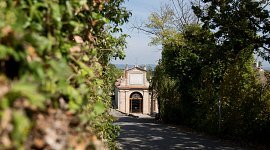 WEB_CHIUSDINO_OW8A1759