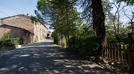 WEB_FRASSINI_OW8A1739