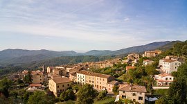 WEB_CICIANO_P8690869