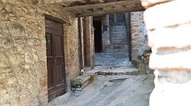 WEB_FRASSINI_OW8A1752